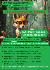 flyer_waldfuechse_02 flyer_waldfuechse_02